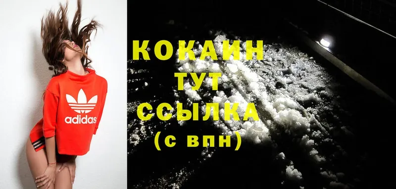 Cocaine Fish Scale  кракен как войти  Иланский 